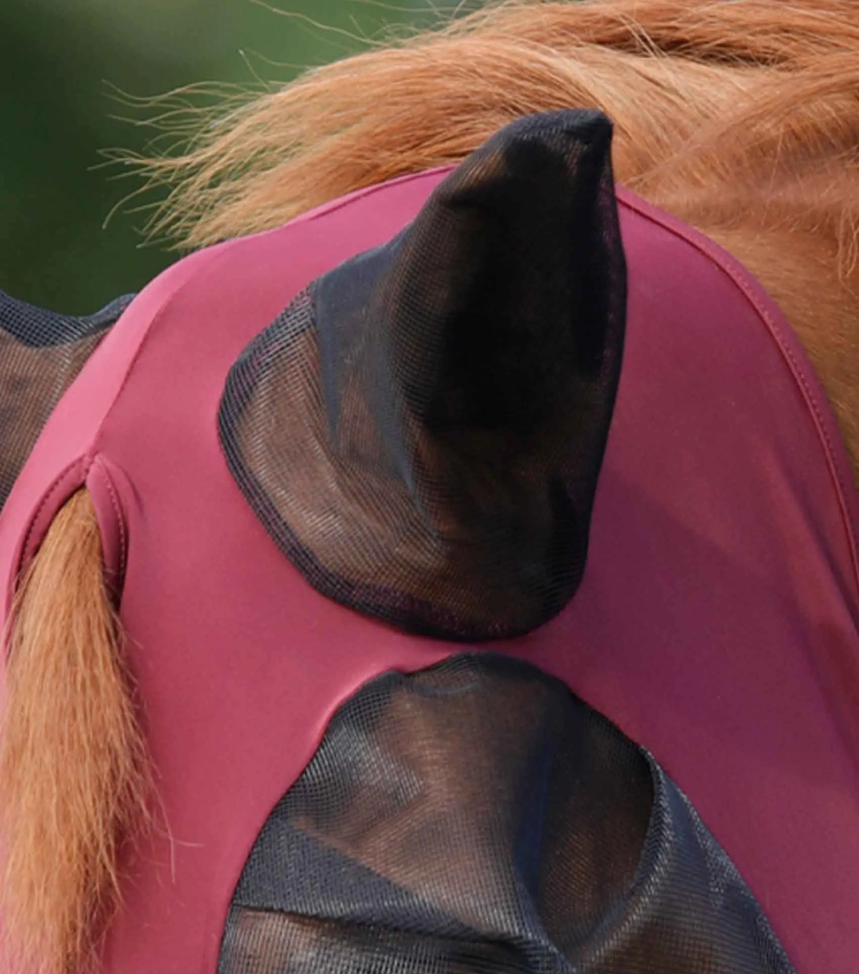 Comfort Tech Lycra Fly Mask Xtra Wine