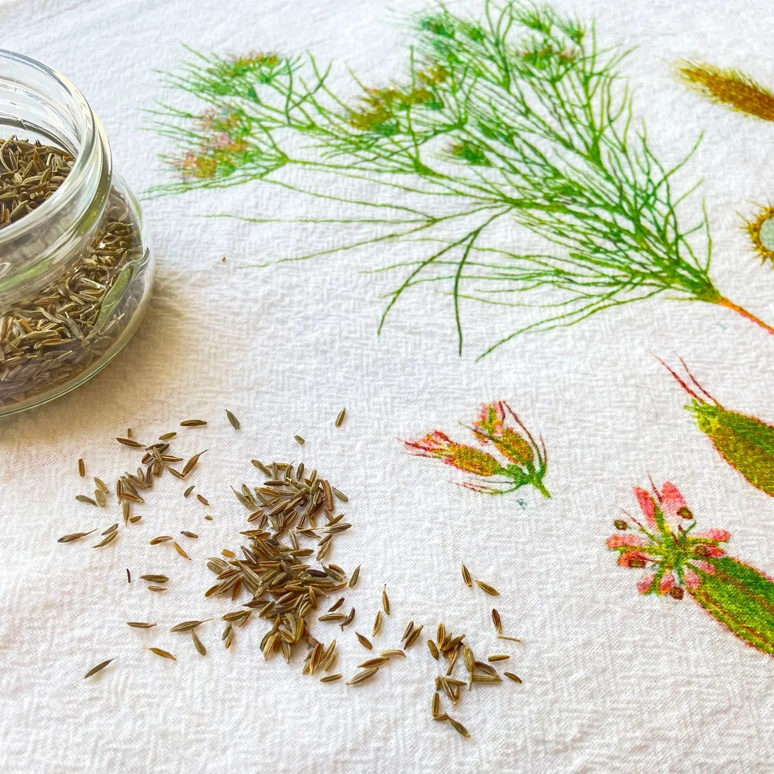 Cumin Flour Sack Towels