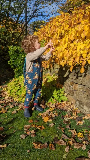 Kids Reversible Dungarees