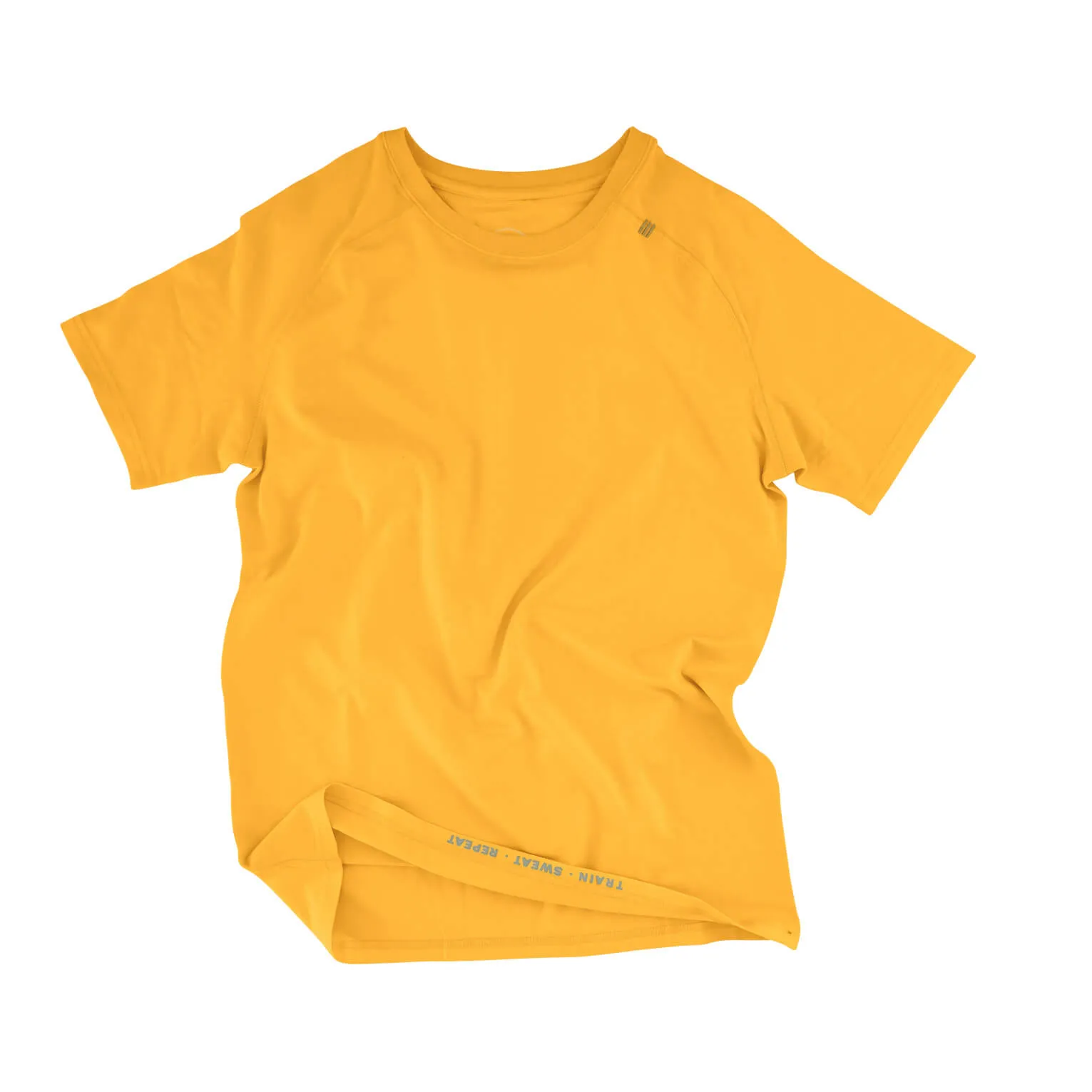 Men's: Training Raglan-PO