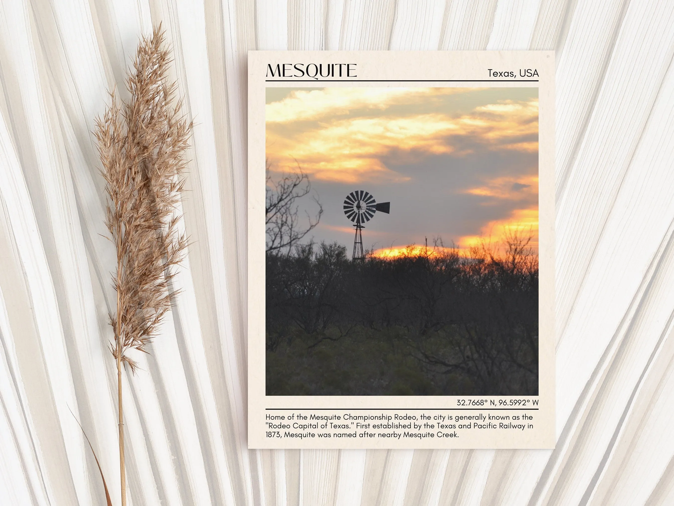 Mesquite Minimal Wall Art, Texas, USA