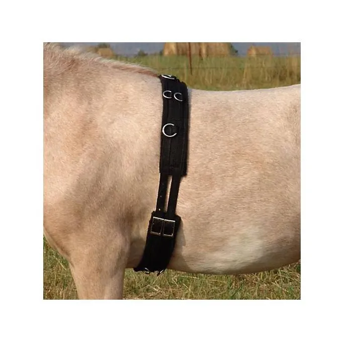 Neoprene Training Surcingle