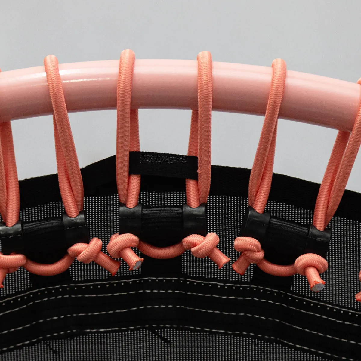 "Protea Pink 2.0" Bungee Studio Deluxe (SA Made)