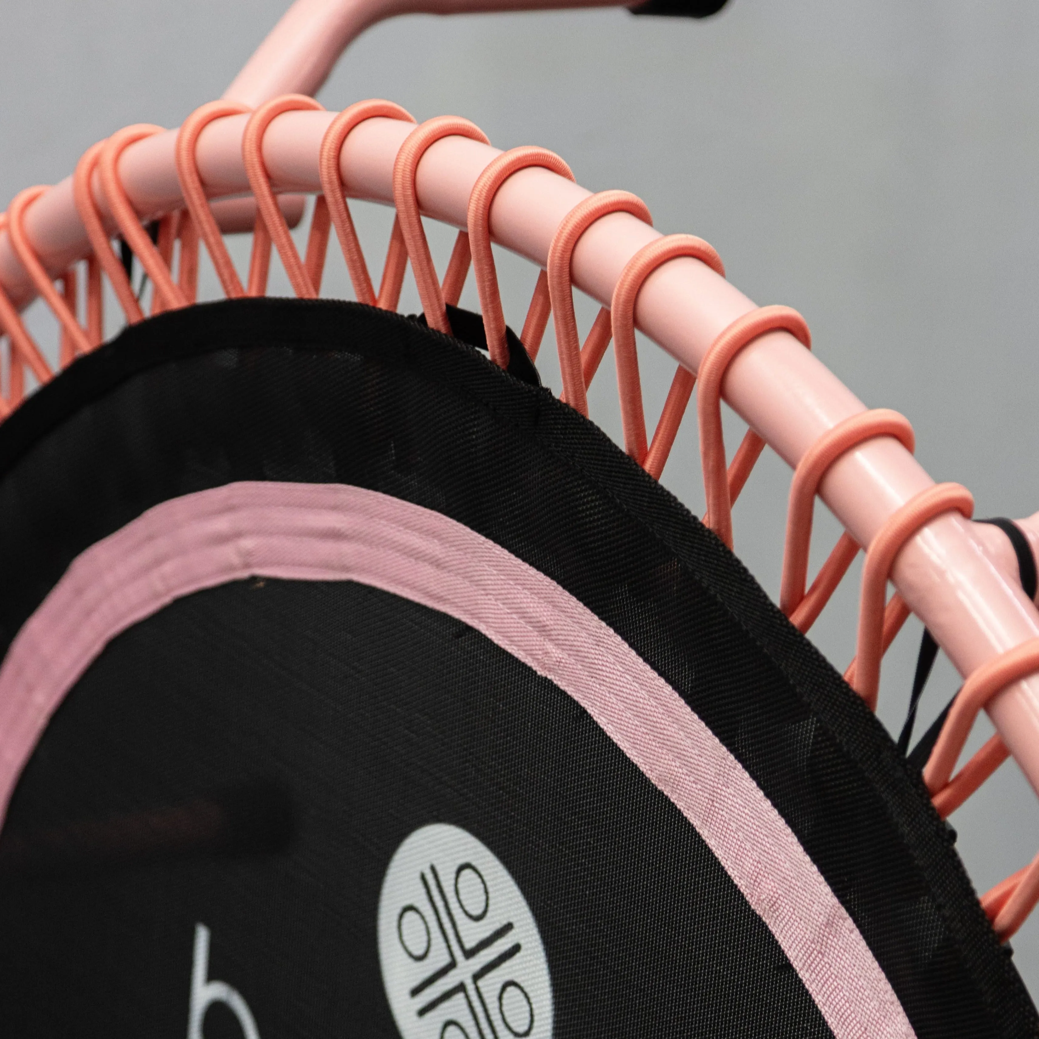 "Protea Pink 2.0" Bungee Studio Deluxe (SA Made)