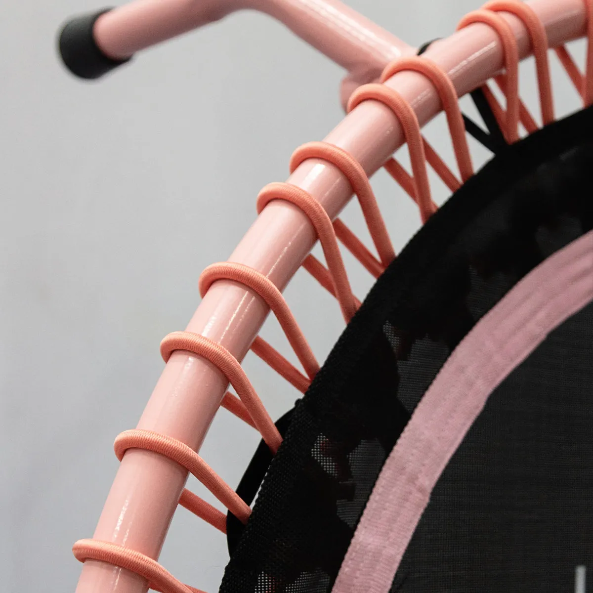 "Protea Pink 2.0" Bungee Studio Deluxe (SA Made)