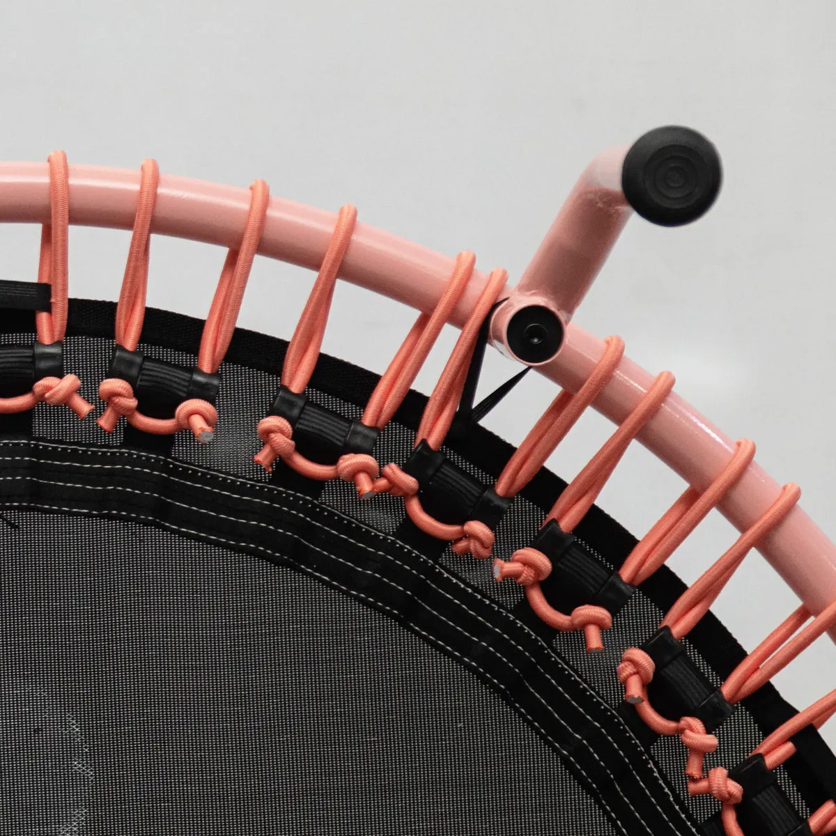 "Protea Pink 2.0" Bungee Studio Deluxe (SA Made)