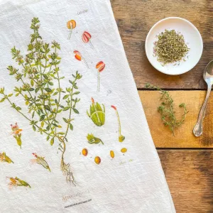 Thyme Flour Sack Towels