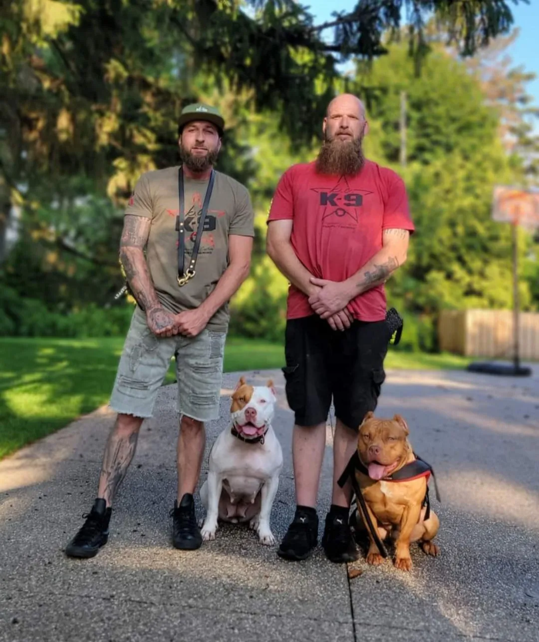 Tier 1 -  Klosowski's AKC- CGC (Canine Good Citizen) Package