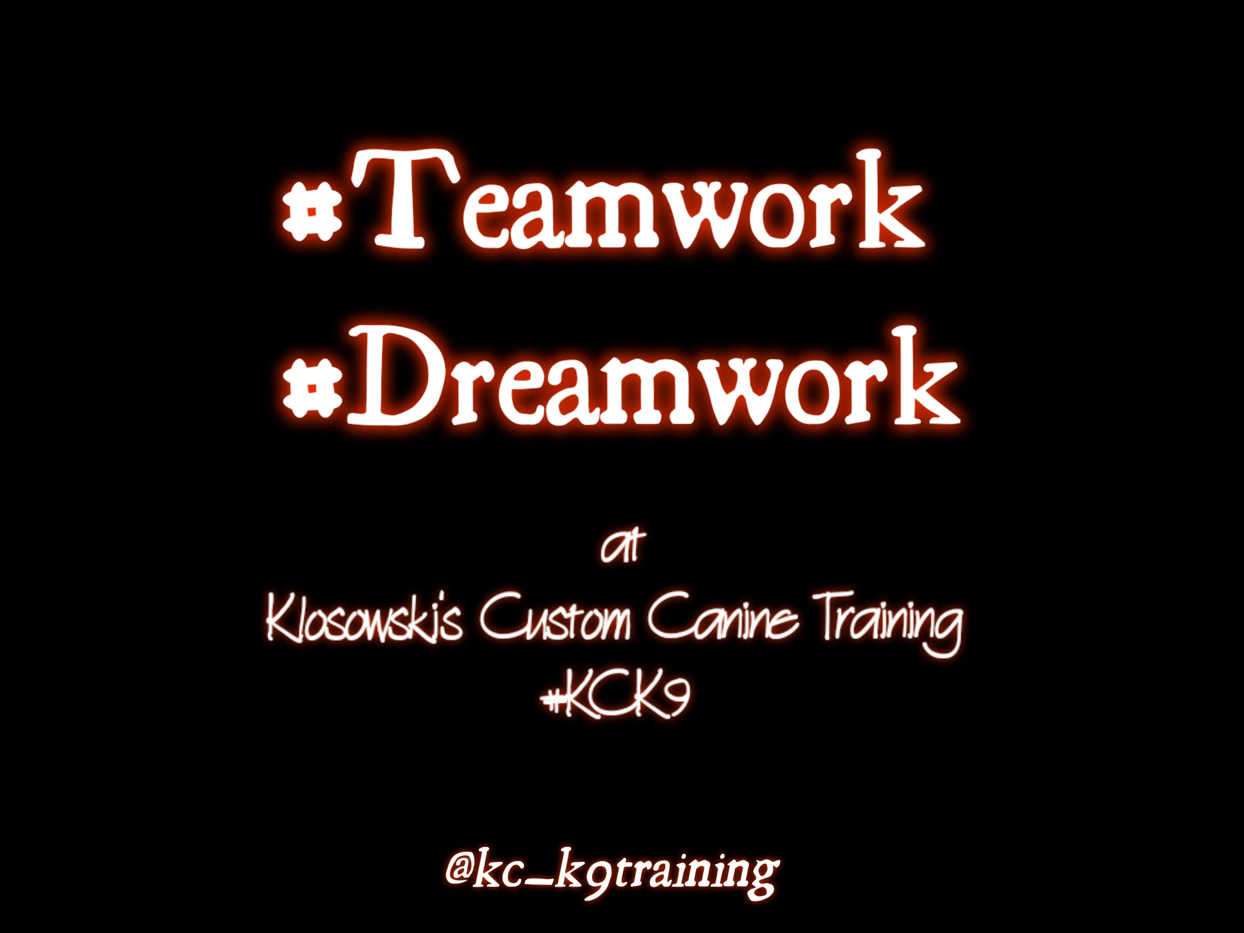 Tier 1 -  Klosowski's AKC- CGC (Canine Good Citizen) Package
