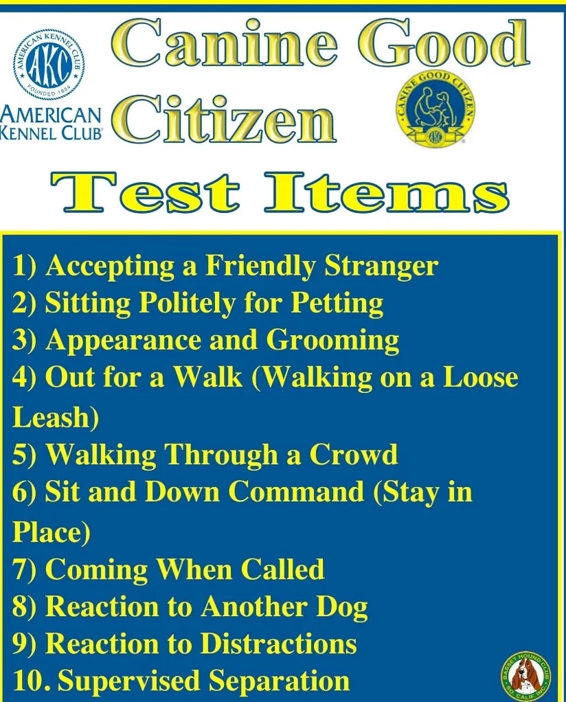 Tier 1 -  Klosowski's AKC- CGC (Canine Good Citizen) Package